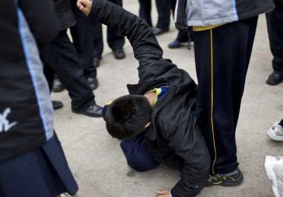El Senado sancionó la ley anti bullying