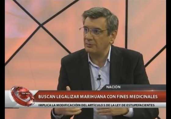 Buil defendió el proyecto de legalizar la marihuana para proyectos medicinales en QM Noticias
