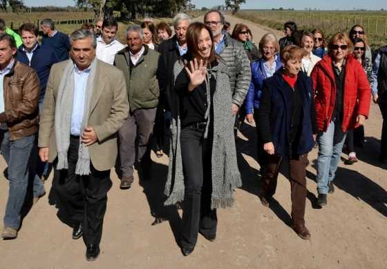  Manual político para aceitar a Campana
