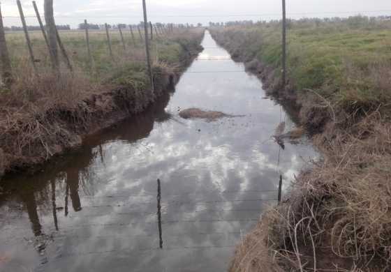  Tellechea y Sala aúnan esfuerzos para combatir los canales clandestinos