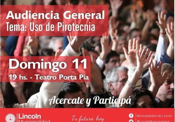  Serenal llama a una audiencia pública para debatir sobre el uso de pirotecnia 