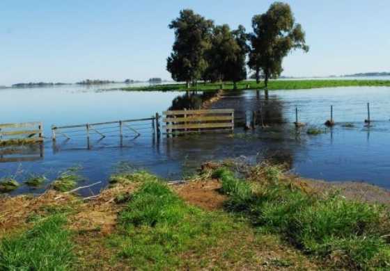 LA CUARTA I Se decretó el "Desastre agropecuario" para los partidos de Tejedor, Ameghino, Villegas y Rivadavia