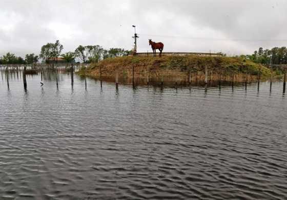  ¿Cómo puede afectar la imagen de los intendentes de la Cuarta Sección Electoral el avance del agua?
