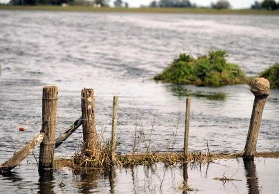 Cuatro municipios de la Cuarta Sección Electoral se suman a la emergencia agropecuaria