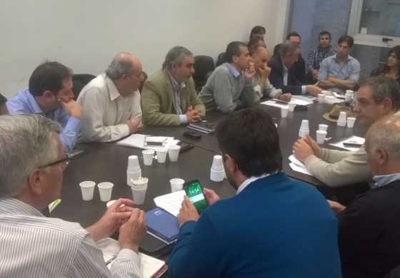 Intendentes radicales de la Cuarta sección electoral le pidieron a Ortiz médicos residentes