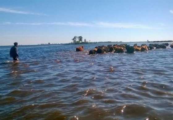  Alarmante informe de "Pueblos Unidos" sobre las consecuencias de la inundación