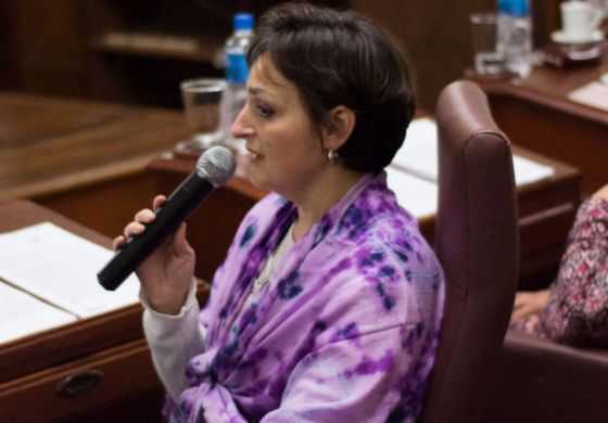  El Concejo Deliberante aprobó por unanimidad dos proyectos de María Laura Razzari