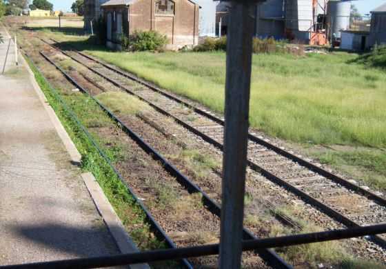  Desde el Concejo apuran a Aiola y a Trenes Argentinos para que pare el tren en O&lsquo;Higgins
