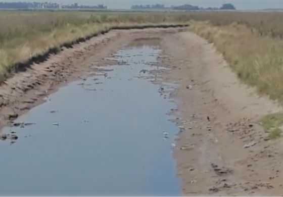  Preocupación del sector agrario por sequías 