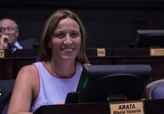 Arata calificó al discurso de Vidal como "anuncios que sólo son expresiones de deseo"