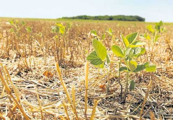  Provincia dio luz verde para realizar el trámite por Emergencia Agropecuaria