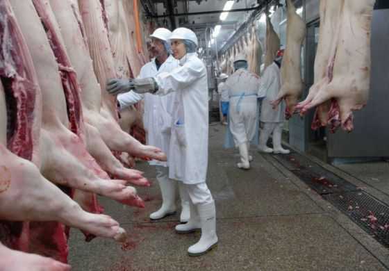  Unidad Ciudadana se pone del lado de los productores y rechazó la importación de carne de cerdo