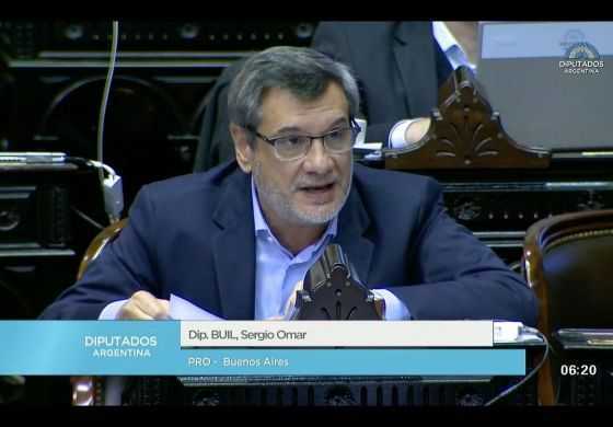 Buil votó a favor de la despenalización del aborto: "El Estado debe cumplir su rol en la salud pública"