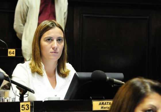 Arata explicó los alcances del proyecto para frenar los embargos 