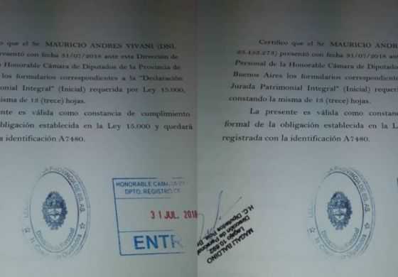 Vivani presentó su Declaración Jurada