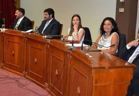  El desfinanciamiento de la universidad pública generó polémica en el HCD