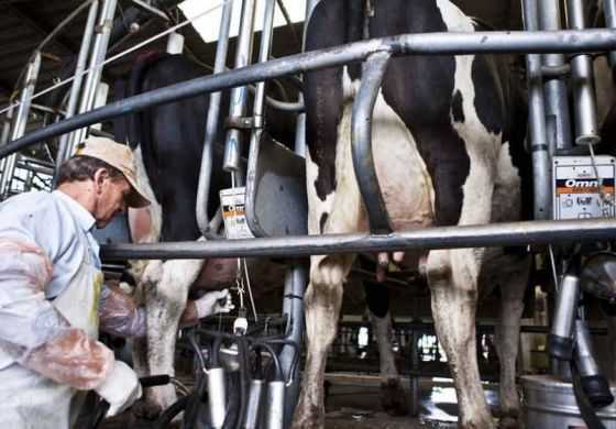  &ldquo;La crisis golpea fuerte la economía local&rdquo;