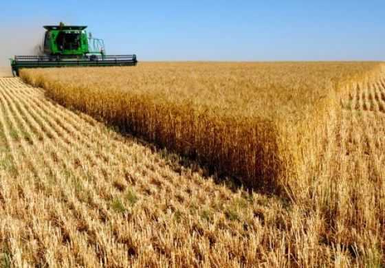  Bronca de los productores contra Cambiemos