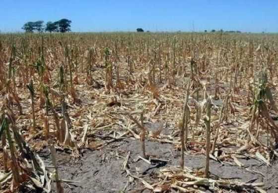 La Cuarta alcanzada por la emergencia agropecuaria
