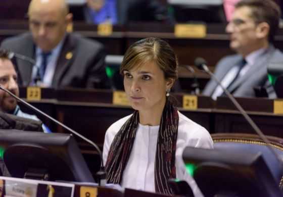 "Vidal renunció a hacerse cargo de las consecuencias que sus políticas generan"