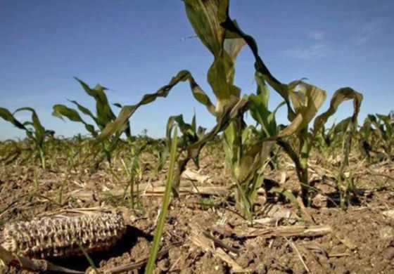 La Cuarta bajo la emergencia agropecuaria