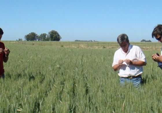 Se extendió el plazo para el Censo Agropecuario