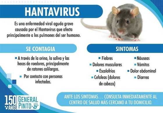  El municipio extrema medidas frente al brote de Hanta Virus