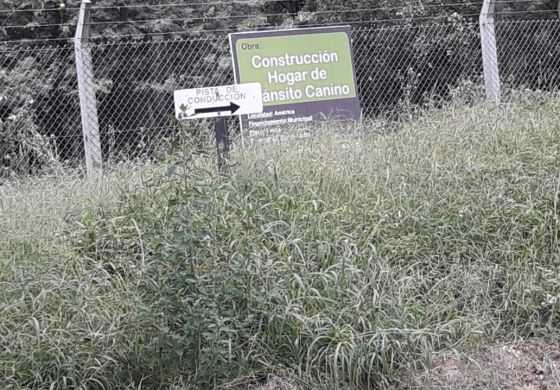  Desde el Frente Renovador alertan al Municipio: &ldquo;El vivero necesita mantenimiento&rdquo;