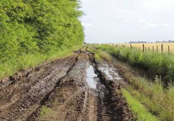 Buscan por ley que se mejoren 70.000 Km de caminos rurales