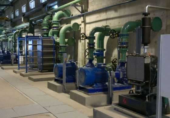  Temor por las fumigaciones