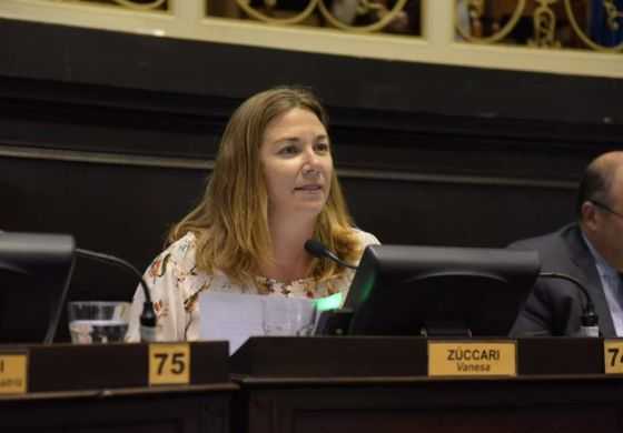 Luego de aprobada la Ley Impositiva, Zuccari salió al cruce tras declaraciones del gobernador: &ldquo;Kicillof miente&rdquo;
