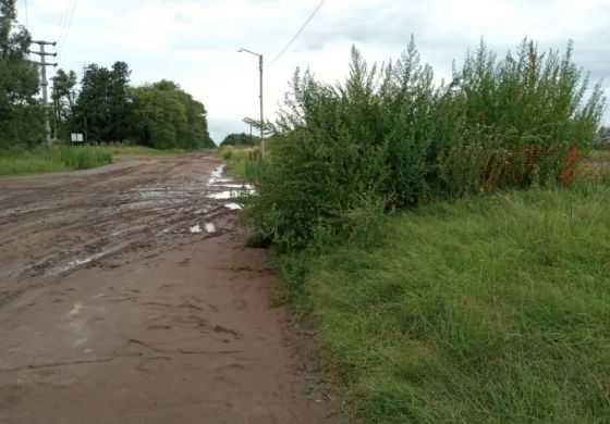  Ediles de la oposición buscan que el Municipio se haga cargo del mantenimiento de los espacios verdes