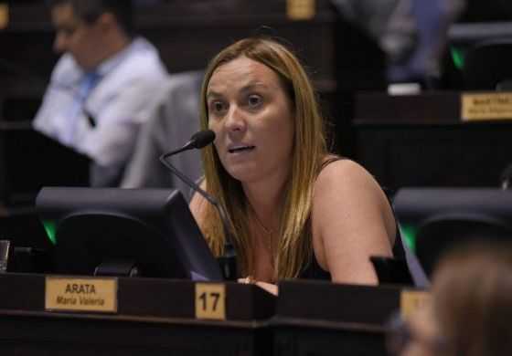  Arata cruzó a Petrecca tras su discurso de apertura de sesiones 