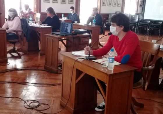  El HCD aprobó la reapertura de comercios y el reinicio de actividades productivas 