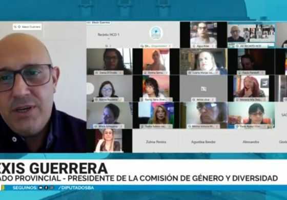 Guerrera promueve la instauración del Día de la Visibilización y Lucha contra los Travesticidios y Transfemicidios