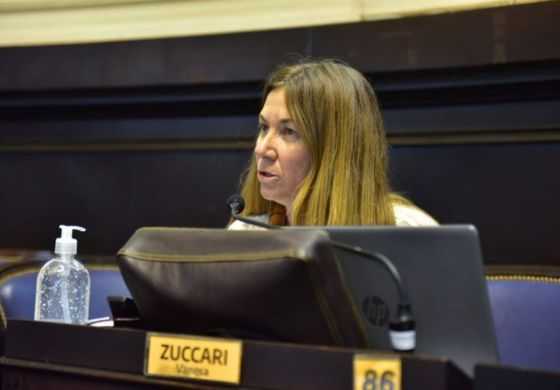 Zuccari alerta sobre la planificación del regreso a las aulas y pide informes a Provincia