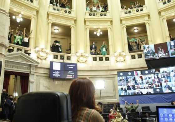 El Senado de la Nación convirtió en Ley la Interrupción Voluntaria del Embarazo