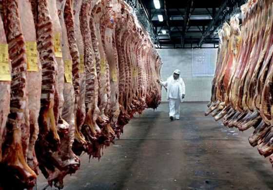 El Gobierno quitará las restricciones para exportar carne si se estabiliza el precio