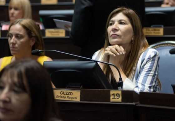 Guzzo le respondió a Flexas tras la visita de funcionarios nacionales 