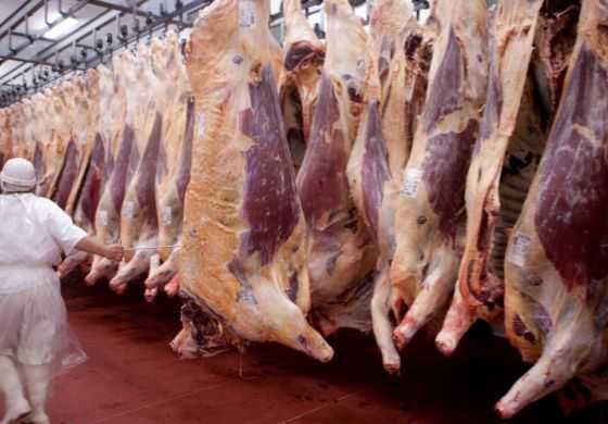 Domínguez liberó exportaciones y mantuvo el control sobre cortes de consumo masivo