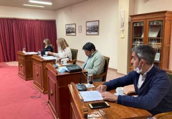  El HCD le exige al Municipio que convoque a la Mesa de la Violencia de Género 