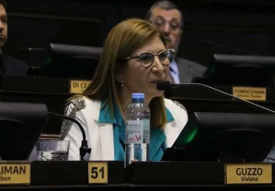 Guzzo le respondió a Vidal y defendió con números la gestión educativa de Kicillof 