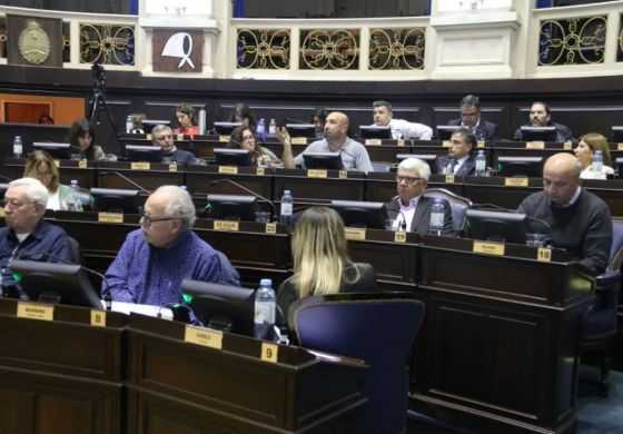 La Legislatura condenó el atentado contra CFK