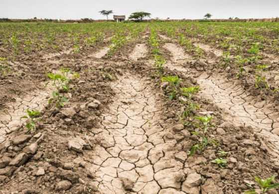 Con el PRO afuera, desde Juntos piden la Emergencia Agropecuaria 