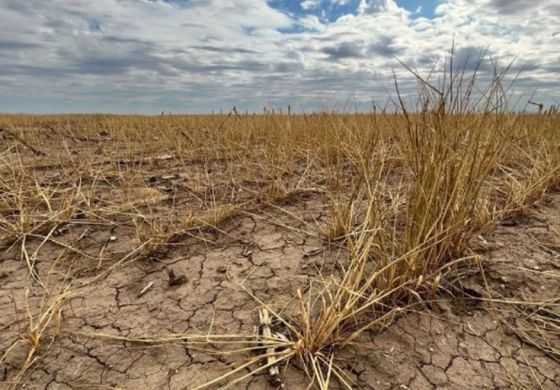 Provincia lanzó un programa de apoyo económico para arrendatarios rurales