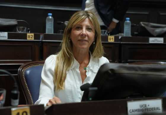 Ley de Ministerios: Vaccarezza aprobó las reformas de Kicillof pero dejó críticas: "no se reducen ministerios ni cargos políticos"