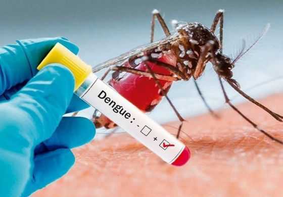  Alerta en el Municipio, confirmaron 4 casos de dengue