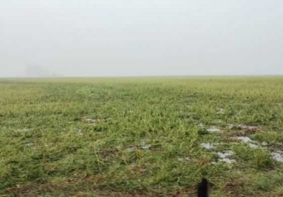  Atención productores: Vuelven a llamar para acceder a la emergencia agropecuaria