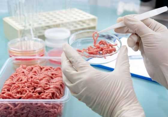 La Provincia confirmó brotes de triquinosis y hubo casos en la Cuarta: qué es y cómo prevenir esta enfermedad