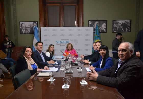 Pese al voto negativo de una senadora por la Cuarta, avanza un proyecto clave de La Cámpora